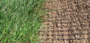 Приложение на мол нета и отзиви за този метод на защита на сайта