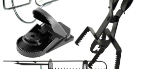 Učinkovite zamke za hvatanje molova u tom području