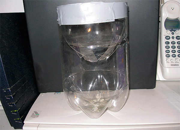 En général, les pièges à taupes provenant de bouteilles en plastique sont très efficaces et ne sont pas inférieurs aux divers pièges qui tuent les animaux.