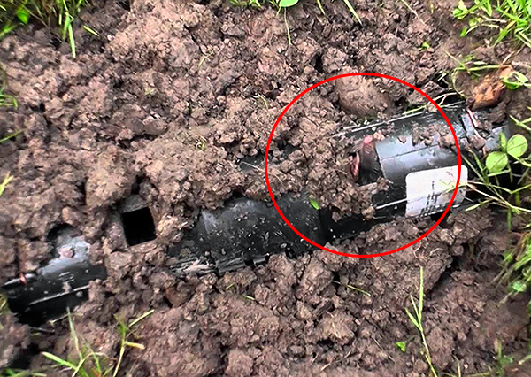 Le nez de l'animal est clairement visible sur la photo, regardant depuis le receveur des taupes.