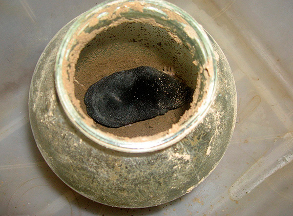 Et cette photo montre une taupe prise dans un bocal.