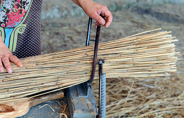 Bien que les tiges de roseau soient considérées comme un remède populaire pour effrayer les taupes, elles aident toutefois très rarement dans la pratique.