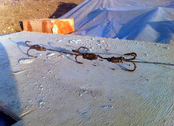 Un hameçon, après avoir creusé dans le corps d'une taupe, le blesse gravement et l'animal n'a pratiquement aucune chance de survivre.