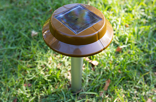 Certains de ces répulseurs à énergie solaire ne peuvent fonctionner que quelques heures dans l'obscurité, tandis que certains modèles fonctionnent toute la nuit.