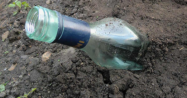 Des bouteilles de verre vides, enfoncées dans le sol, bourdonnent sous le vent et parviennent ainsi parfois à effrayer une taupe du territoire.