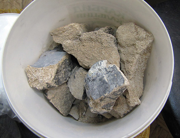 Les taupes ont vraiment peur (évitent) l’odeur de gaz dégagée par le carbure, bien qu’elles ne quittent pas toujours le site.