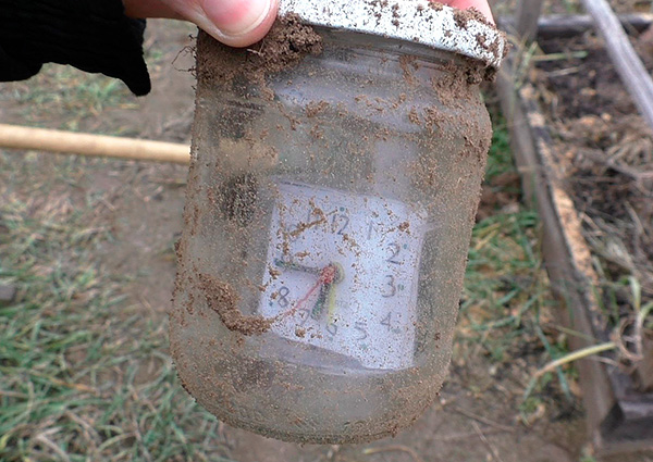 Un exemple de taupe répulsif fabriqué à partir d'un bocal en verre avec un réveil chinois placé en elle.