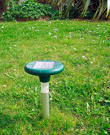 Dans les appareils de ce type, une batterie est intégrée, chargée par la batterie solaire pendant la journée.