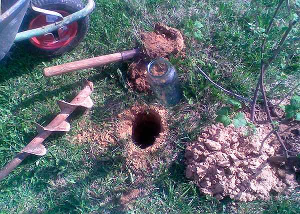 La photo montre le processus de préparation d'un piège pour une taupe à l'aide d'un bocal en verre.