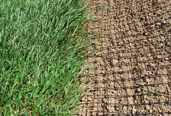 La pose sur un filet de gazon spécial aide également.