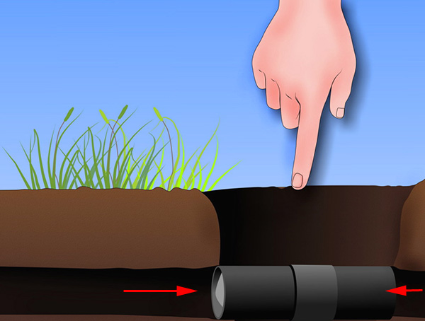 Une taupe peut monter dans un piège vivant des deux côtés ...