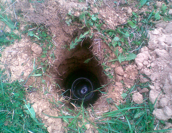 La canette est soigneusement enterrée dans le sol, dans la fente de la taupe.