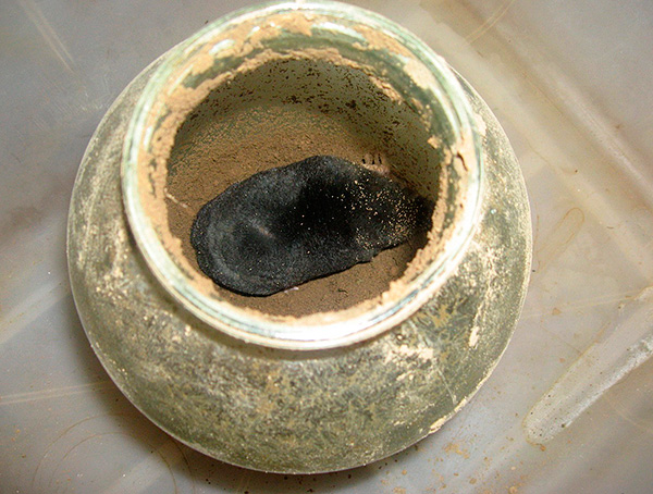 Il est important de garder à l'esprit que si la taupe reste dans un tel piège pendant 24 heures au moins sans nourriture, elle mourra de faim.