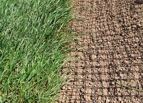 Voyons si un filet de pelouse en plastique vous permet réellement de protéger de manière fiable le site contre les taupes et combien cette protection peut coûter ...