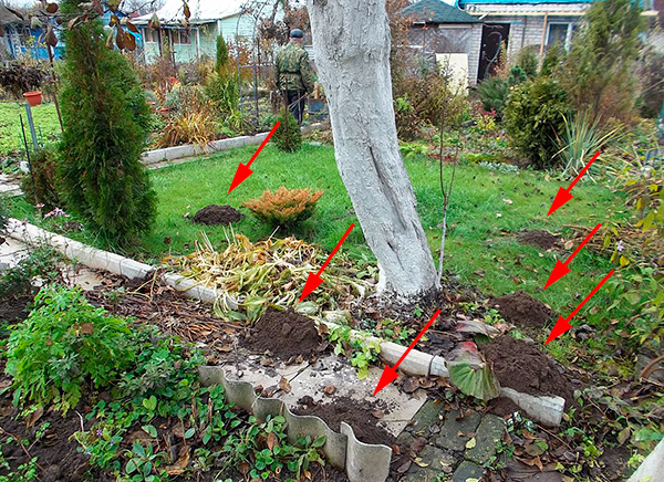 De nombreux jardiniers doivent déjà s'attaquer aux taupes après la construction et les travaux de plantation sur le site, ce qui complique évidemment beaucoup le contrôle des insectes nuisibles.