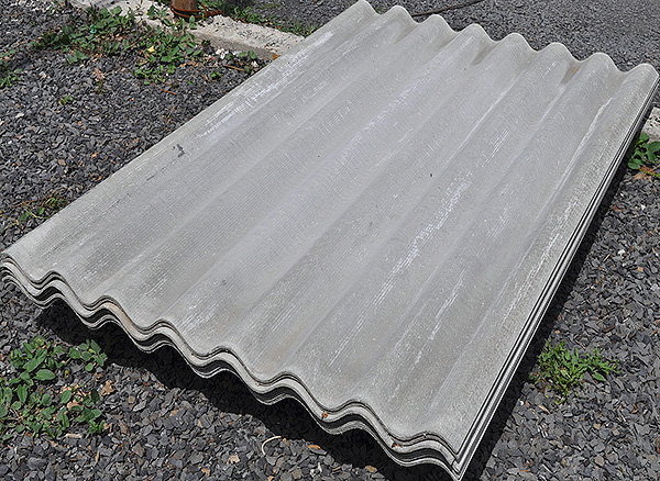 Parfois, les jardiniers tentent d’utiliser l’ardoise pour protéger le site des taupes, solution de rechange peu coûteuse au maillage en plastique.