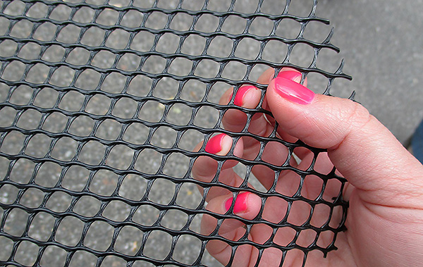 Lors du choix d'un filet à partir de taupes, il est important de considérer que la taille de ses cellules est suffisamment petite et que le ravageur ne serait pas en mesure de les traverser.