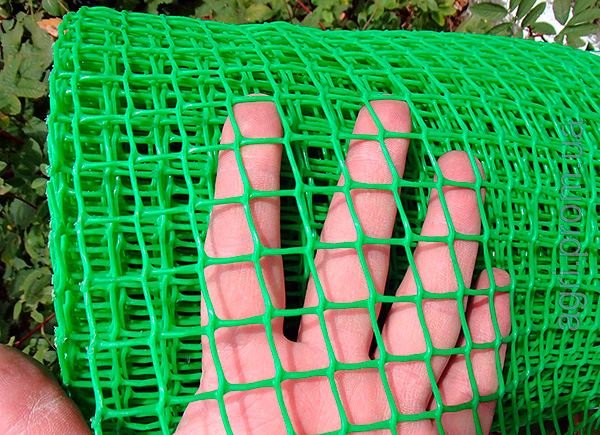 Il est possible de clôturer la zone entourant les taupes autour du périmètre avec un petit filet en plastique creusé dans le sol sur une profondeur d'au moins 80 cm.