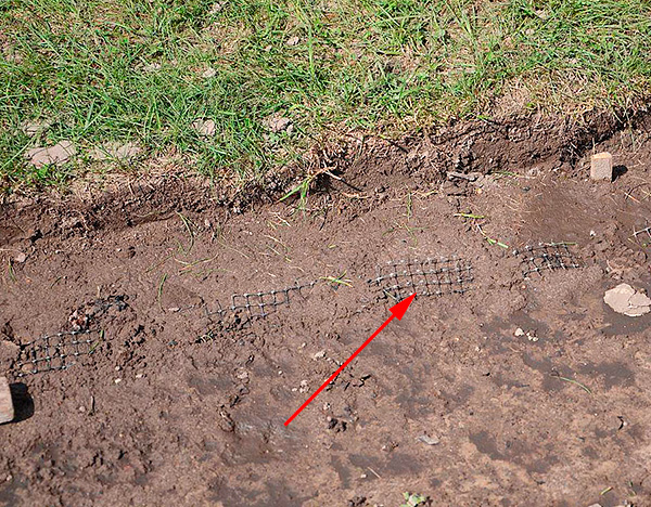 Exemple de protection d'un site contre les taupes à l'aide d'un filet de pelouse spécial.