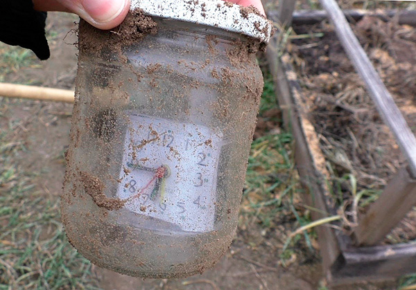 Le répulsif à grains de beauté original peut être fabriqué à partir d'un réveil électronique chinois ...