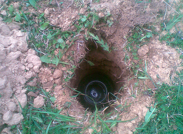 Vous pouvez rapidement vous débarrasser des taupes sur le site à l'aide d'un piège fait maison ...