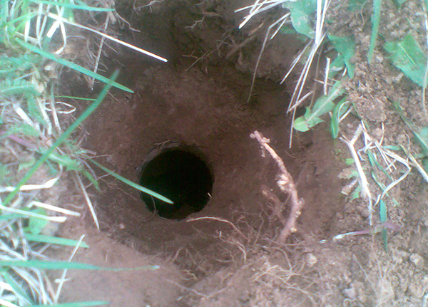 Un bocal de verre est, pour ainsi dire, enfoui dans la fente du passage souterrain.