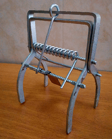 Un tel piège, lorsqu'il est déclenché, brise facilement une taupe d'os.