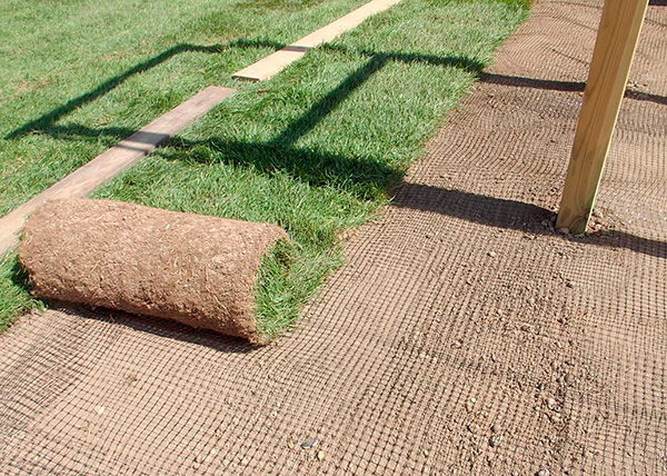 Un exemple de la pose d'un filet spécial de taupes sur une pelouse.