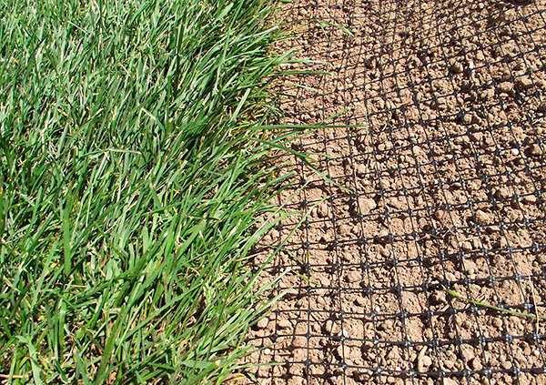 L'un des moyens les plus fiables de protéger le site contre les taupes consiste à utiliser un filet pour pelouse.