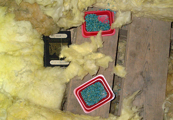 Le poison de rat est un moyen efficace de lutter contre les rongeurs, mais il présente également un certain nombre d'inconvénients importants ...