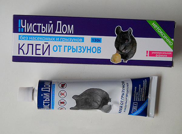 Colle de contrôle des rongeurs Clean House.