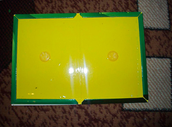 La photo montre un exemple de piège adhésif pour rats et souris sous forme expansée.