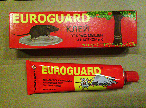 Colle de production italienne contre rats, souris et insectes Euroguard.