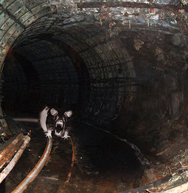 On croit que des rats de la taille d'un chien habitent dans le métro de Moscou, mais il n'y a aucune preuve documentaire à ce sujet.