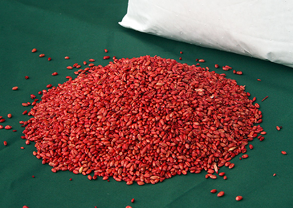 Dans la plupart des cas, une petite quantité de médicament, environ 50-100 grammes, suffit à faire sortir les rats de la maison ou de l'appartement.