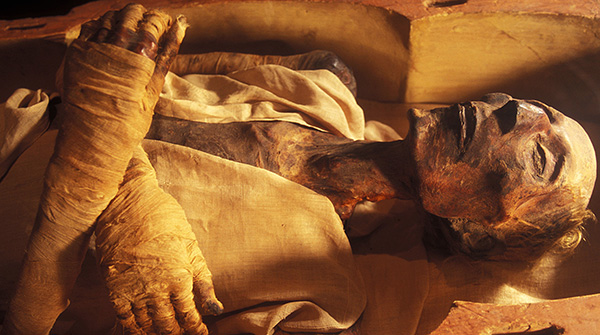 La photographie montre la momie (le corps humain a été embaumé pour empêcher la décomposition).