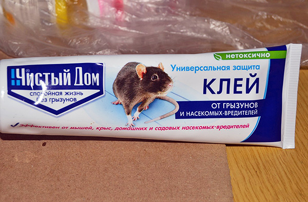 Colle de rongeurs et d'insectes nuisibles Clean House