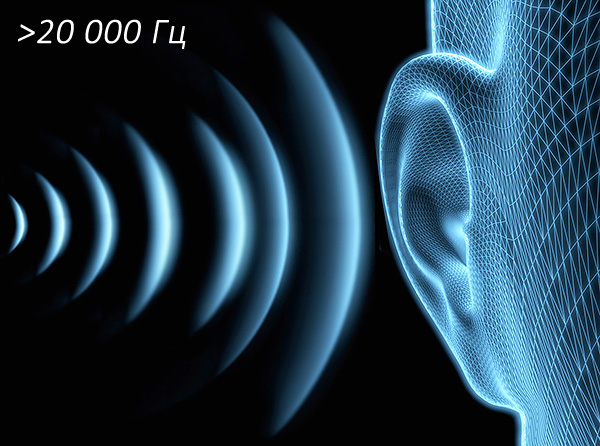 Les vibrations ultrasoniques ont une fréquence supérieure à 20 kHz et dans la grande majorité des cas, elles ne sont pas perçues par l'oreille humaine.