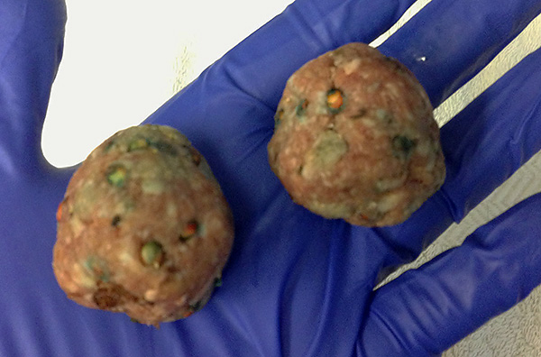 Gants en caoutchouc - condition préalable à la préparation d'appâts contenant du poison pour rat.