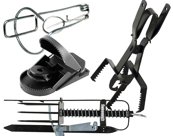 Nous découvrons ce que sont les pièges pour les taupes et comment les appliquer sur la parcelle de jardin ...