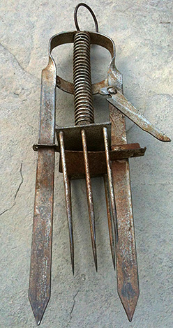 Un piège à harpon (plongeur) tue la taupe en lui perçant le corps avec des aiguilles à tricoter tranchantes.