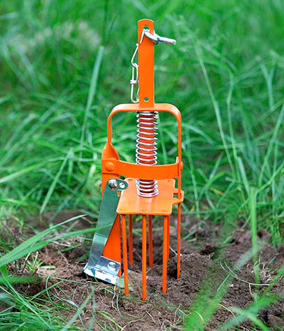 La photo montre un exemple de piège à harpon monté au-dessus d'une taupe.
