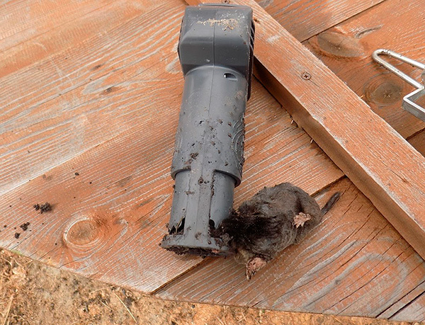 Et cela ressemble au résultat de cet appareil ...