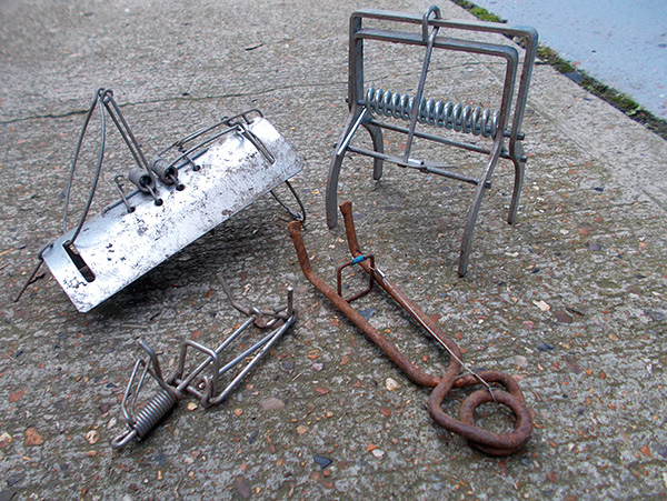 Dans la plupart des cas, il est conseillé d’acheter un piège prêt à l’emploi (l’avantage du prix de beaucoup d’entre eux est tout à fait abordable).