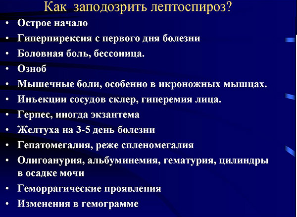 Symptômes de la leptospirose