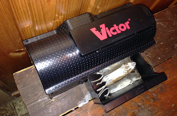 La photo montre le résultat de l'appareil ...