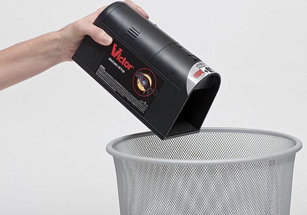 Dans le cas de l'utilisation d'un piège à rats électrique, il suffit de secouer son contenu dans la corbeille.