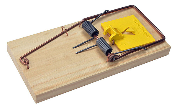 Piège à rats en bois classique.