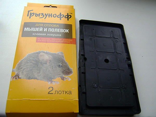 Piège à colle Gryzunoff pour attraper les souris et les campagnols.