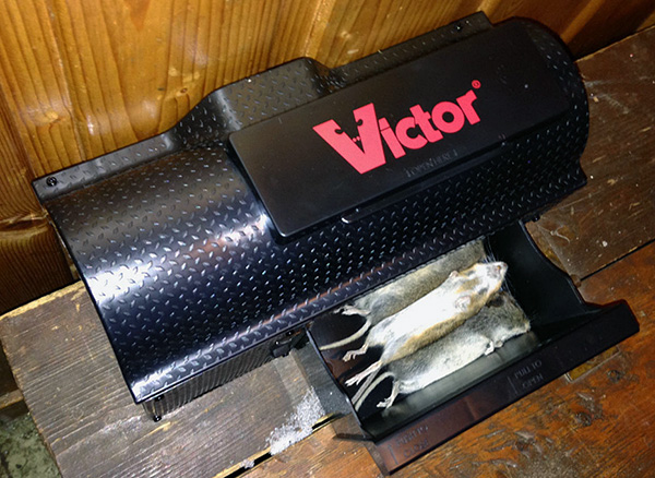 Piège à rats électrique